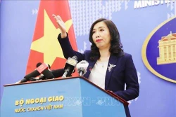 新型冠状病毒感染肺炎疫情：越南外交部积极开展在华越南公民领事保护工作
