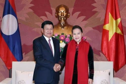 越南国会主席阮氏金银会见老挝总理通伦