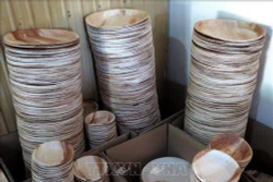 对塑料垃圾说不：槟榔树皮制品受到青睐