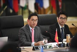 越南主持东亚峰会大使级会议机制2020年第一次会议