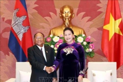 越南国会主席阮氏金银与柬埔寨国会主席韩桑林举行会谈