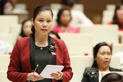 越南第十四届国会第六次会议：质询活动进入最后一天