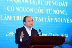 阮春福：政府不鼓励自由移民 
