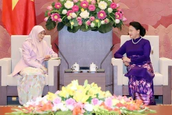 越南国会主席阮氏金银会见马来西亚副总理