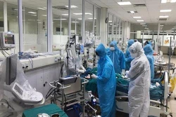 世界各政党高度评价越南抗击新冠肺炎疫情取得积极成效