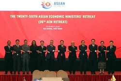 越南为第26届东盟经济部长非正式会议所作出的周密准备获国际社会高度评价