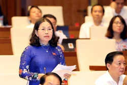 国会代表：政府应制定“不让任何人掉队”的主张
