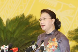 国会主席阮氏金银出席河内市第十五届人民议会第十五次会议