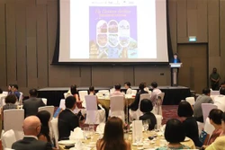 越航在新加坡正式启动“再次探索越南”活动