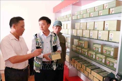 蒙族小伙子的药方为肝病患者点燃希望