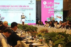 越南九龙江三角洲地区各省呼吁澳大利亚企业前来投资兴业 