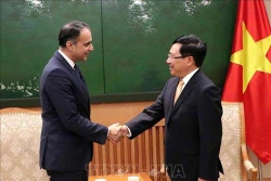越南政府副总理兼外交部长范平明会见亚洲开发银行副行长赛义德