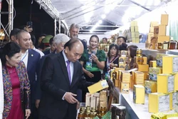 国家主席阮春福：提升越南人参的价值