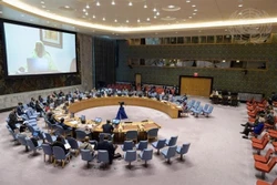 越南与联合国安理会：越南强调维和行动转型过渡进程需要符合每个国家的情况