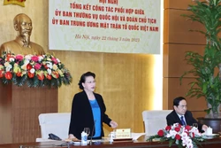 越南国会常委会与越南祖国阵线中央委员会主席团加强协调配合