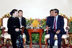 国会主席阮氏金银会见柬埔寨首相洪森