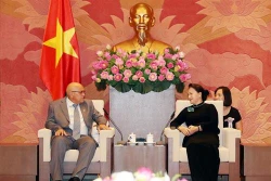 阮氏金银：越南一直以来是古巴的好同志、好朋友和好兄弟