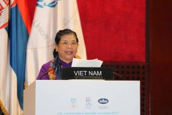 越南国会常务副主席丛氏放在第141届各国会议联盟大会上发表重要讲话