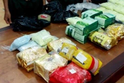 安江省：现场抓获贩运毒品犯罪嫌疑人2名 缴获26多公斤毒品 