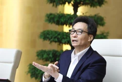 新冠肺炎疫情：武德儋副总理表示越南隔离区人人平等 不存在区别对待现象