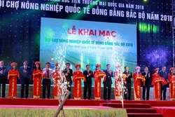300多家企业参加2018年太平省北部三角洲国际农业展览会