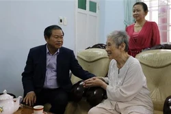 国会副主席杜伯巳向胡志明市原党、国家领导人拜年