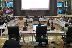 2020年东盟主席年：东盟与日本致力于加强战略伙伴关系