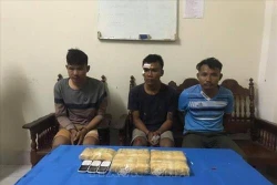 越老两国公安查获一起跨境贩毒案 缴获合成毒品3万颗