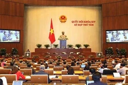 越南第十四届国会第八次会议：健康竞争 吸引投资者