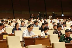 越南少数民族和山区政策体系日益配套与全面