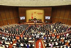 越南国会代表对推荐阮富仲总书记供国会选举国家主席达成高度共识