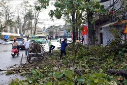 安沛省、老街和宣光三省遭受龙卷风和大暴雨袭击多间房屋受损