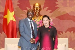 越南国会主席阮氏金银会见世行驻越首席代表奥斯曼•迪奥