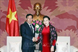 阮氏金银会见缅甸巩固与发展党高级代表团