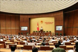 第十四届国会第六次会议公报（第十九号）