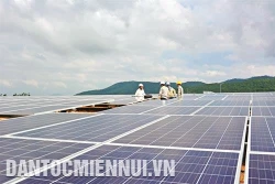 嘉莱省注重发展绿色经济