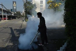 泰国首都曼谷爆发登革热疫情