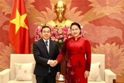 越南国会主席阮氏金银会见老挝驻越大使
