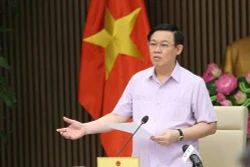 王廷惠副总理：严肃处理伪造越南原产地证的欺诈行为