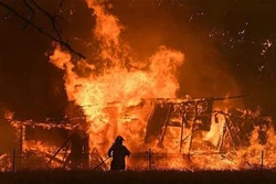 越南驻俄罗斯大使馆证实俄罗斯一处温室大棚种植区发生火灾中有越南人遇难的信息