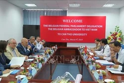比利时议会代表团和比利时驻越大使对芹苴市进行工作访问