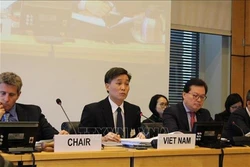越南承诺保护公民权利和政治权利