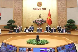 越南政府总理出席应对新冠肺炎疫情的G20视频峰会
