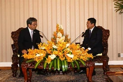 胡志明市与日本大阪市进一步加强环境领域的合作