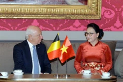 越南国会主席会见比利时联邦参议长布罗奇 