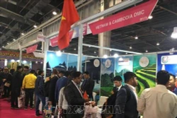 越南多家旅游企业参加印度旅游展