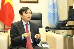 越南与联合国安理会：越南已经完成安理会1月轮值主席国任期内想要做的事情