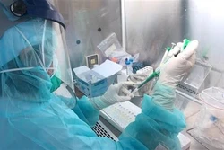 国际舆论高度评价越南应对新冠肺炎疫情的措施