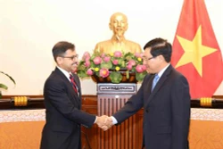 越南政府副总理兼外长范平明会见印度新任驻越大使普拉奈·维尔马