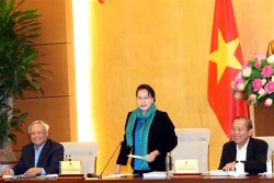 国会主席阮氏金银：越南法律体系不断健全完善